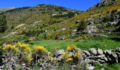 Trail Walking Unknown - Cascade de Juclar - Photo 3