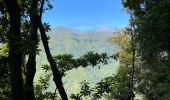 Randonnée Marche Ribeira da Janela - Levada  - Photo 8