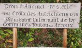 Trail Walking Toulon-sur-Arroux - RANDO_La_Croix_Des_Autrichiens - Photo 6