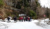 Tour Nordic Walking Rimbach bei Gebweiler - 2019-01-16 Rimbach Glashutte - Photo 2