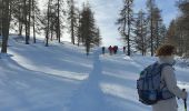 Tour Schneeschuhwandern Roubion - PIN POURRI - Photo 9