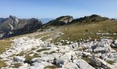 Tour Wandern Saint-Pierre-de-Chartreuse - La Dent de Crolles en boucle - Photo 12