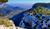 Randonnée Marche Toulon - Uba - St Antoine - Point sublime - Sommet du Faron - Retour Uba - Photo 8