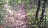 Trail Walking Crest - Grane jour 3 - Photo 5