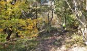 Trail Walking Mazaugues - le Mourre d'Agnis au départ du Caucadis - Photo 1