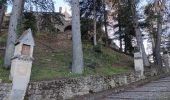 Trail Walking Forcalquier - forcalquier,les mourres - Photo 11