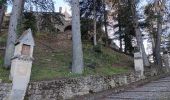 Excursión Senderismo Forcalquier - forcalquier,les mourres - Photo 11