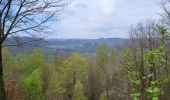 Trail Walking Vresse-sur-Semois - Vresse via Mouzaive 020523 - Photo 15