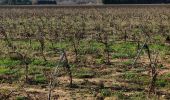 Percorso Marcia Roquebrune-sur-Argens - z rando dans les vignes 15-01-19 - Photo 3