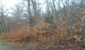 Trail Walking Oissel - 20231128-les essarts cool - Photo 18
