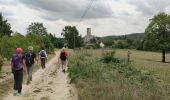 Tour Wandern Montigny-sur-Loing - Montigny sur loing _ Nemours  - Photo 1