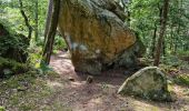 Tocht Stappen Fontainebleau - Fontainebleau Sentier Denecourt 1 prolongé - Photo 9