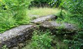 Tour Zu Fuß Ringgau - Datteröder Burgweg - Photo 8