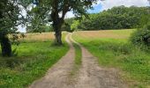 Tocht Stappen La Chapelle-Enchérie - La Chapelle-Enchérie - Bois de Bricsard - Photo 5