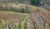 Tour Zu Fuß Markgröningen - DE-SAV Blaues Kreuz, von - nach? - Photo 5