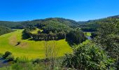 Tour Wandern Bouillon - Le Sentier des Points de Vues - Bouillon - Photo 17