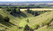 Tour Zu Fuß North Hertfordshire - Walk on the wild side - Photo 8