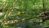 Trail Walking Saint-Hubert - WandArdBos 14 Mirwart (PVDB) - Photo 5