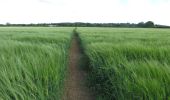 Tocht Te voet Cherwell - Round Cropredy Walk - Photo 1