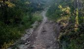 Tocht Stappen Mirabel-et-Blacons - Col de Pourcheton - Photo 2