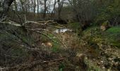 Tocht Stappen Corconne - Corconne vignes garrigue oliveraies  - Photo 6