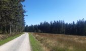 Tour Wandern Weismes - mont rigi . pont de beleu . botrange . baraque michel . mont rigi - Photo 10