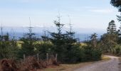 Trail Walking Meymac - Montagne du Cloup, les Farges - Photo 4