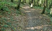 Trail Walking Étréchy - Forêt Régionale d'Etrechy - Photo 18