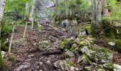 Tour Wandern Saint-Pierre-d'Entremont - La Croix de l’Alpe 10,7 km - Photo 9