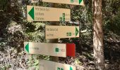 Trail Walking Chamonix-Mont-Blanc - Les Tines ,les Bois,les Mottets,Chamonix et retour par petit balcon sud - Photo 3