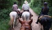 Trail Horseback riding Dramelay - Jour 2 Rando Petite Écurie  - Photo 2