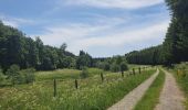 Randonnée Marche Bastogne - rando lutrebois 2-06-2022 - Photo 7