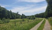 Tour Wandern Bastnach - rando lutrebois 2-06-2022 - Photo 7