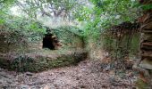 Percorso Marcia Bormes-les-Mimosas - SityTrail - 3043274 - bargeanxchartreuse-verne - Photo 5