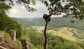 Tocht Stappen Echternach - Trek Rchternacht 2  - Photo 2