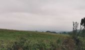 Tocht Stappen Florenville - Orval-Auflance-Villers-Orval 13km - Photo 4