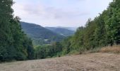 Randonnée Marche Val-Revermont - Cuisiat, Pouillat, Nivigne, Rosy, col des justices - Photo 9