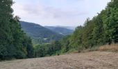 Trail Walking Val-Revermont - Cuisiat, Pouillat, Nivigne, Rosy, col des justices - Photo 9