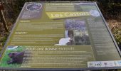 Tocht Stappen Stoumont - 20250309 - TOTEMUS RAHIER - - Photo 19