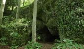 Tocht Te voet Etzelwang - Rundwanderweg 2 Rupprechtstein - Kirchenreinbach - Photo 9