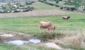 Randonnée Marche Pont de Montvert - Sud Mont Lozère - 5 em etape Stevenson - Photo 3