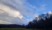 Trail Walking Libin - laisse la lesse  - Photo 13