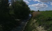 Tocht Stappen Berville-sur-Mer - berville sur mer - Photo 2