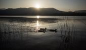 Trail On foot Banyoles - Volta a l'Estany - Photo 7