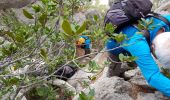 Excursión Senderismo Évenos - Gorge du Destel - Photo 1