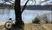 Trail Mountain bike Waimes - Waimes Bütgenbach tour des lacs - Photo 3