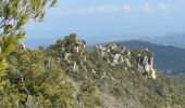 Excursión Senderismo La Celle - Celle : la Loube et l'Amarron - Photo 7