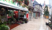 Tocht Noords wandelen Aubigny-sur-Nère - aubigny sur nere - Photo 8