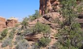 Trail Walking Unknown - 2024 Canyonlands The Needles - Photo 4