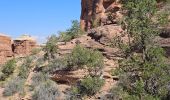 Randonnée Marche Unknown - 2024 Canyonlands The Needles - Photo 4